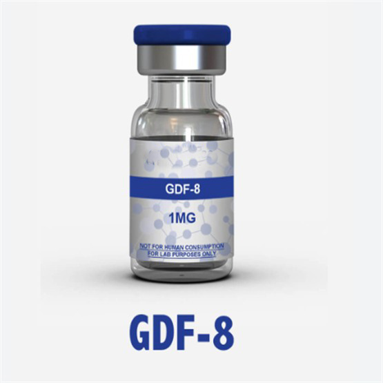 GDF-8